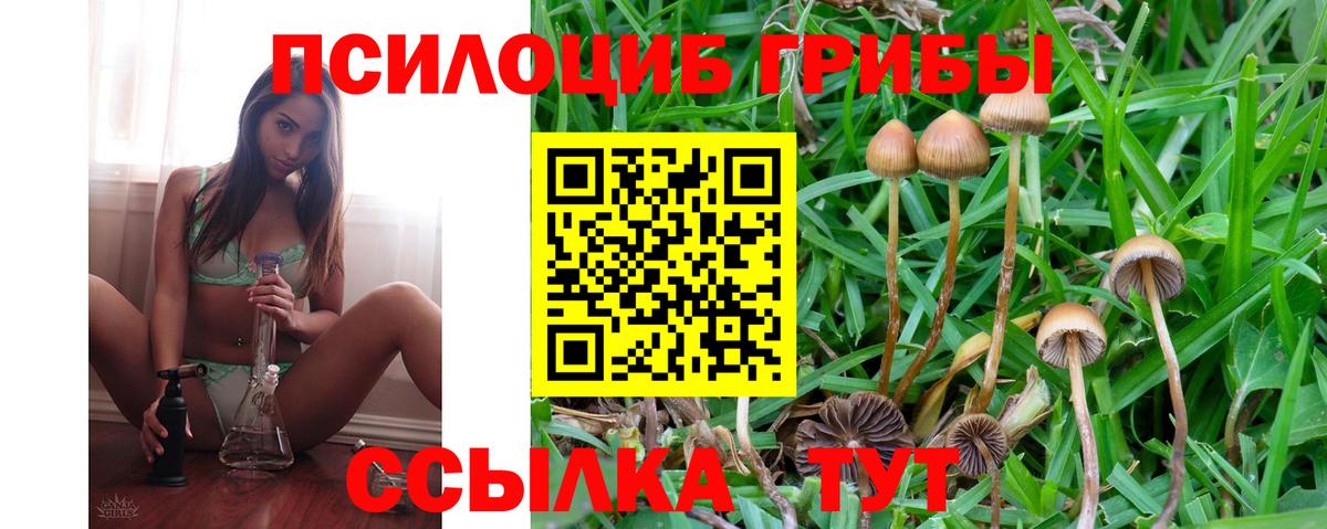 Галлюциногенные грибы прущие грибы  Вход с VPN  закладка  Нерюнгри 