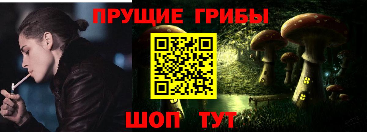 Галлюциногенные грибы Psilocybine cubensis Нерюнгри